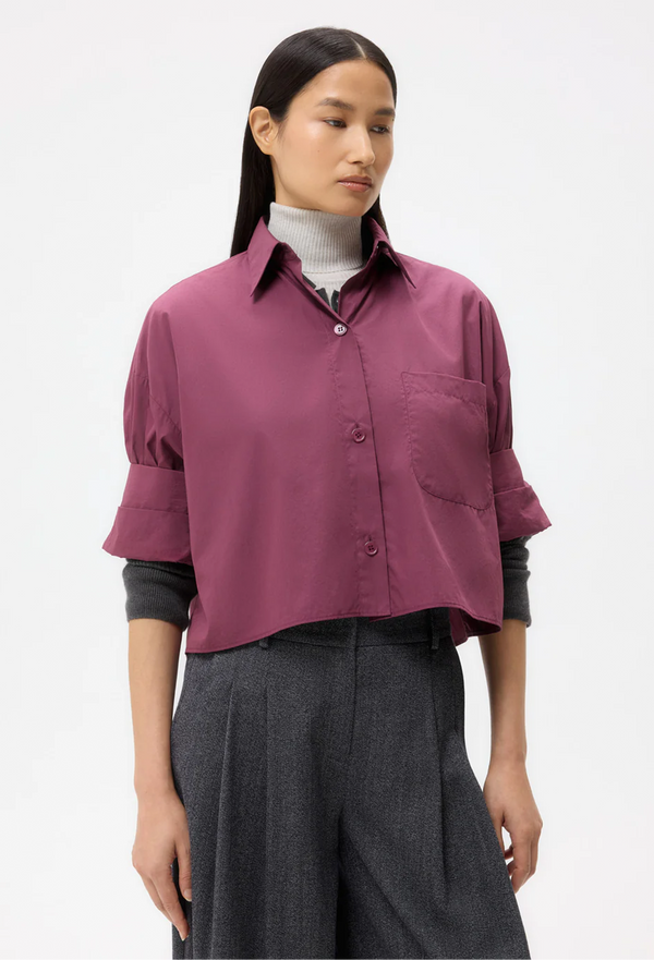 Person wearing a purple shirt over a gray sweater with dark pants on a white background