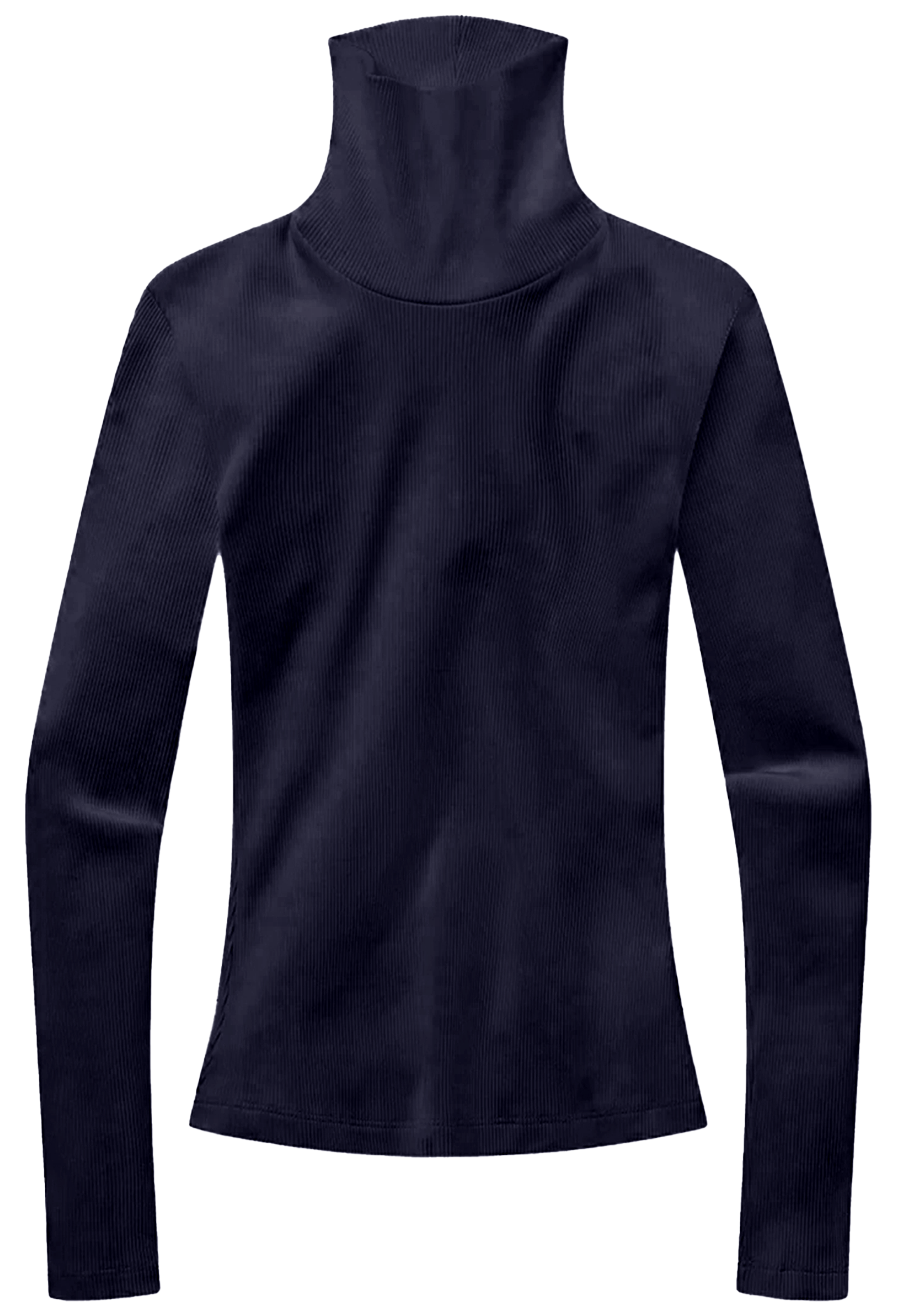 Caradene Turtleneck