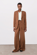 Person wearing a brown suit with a white shirt on a plain background