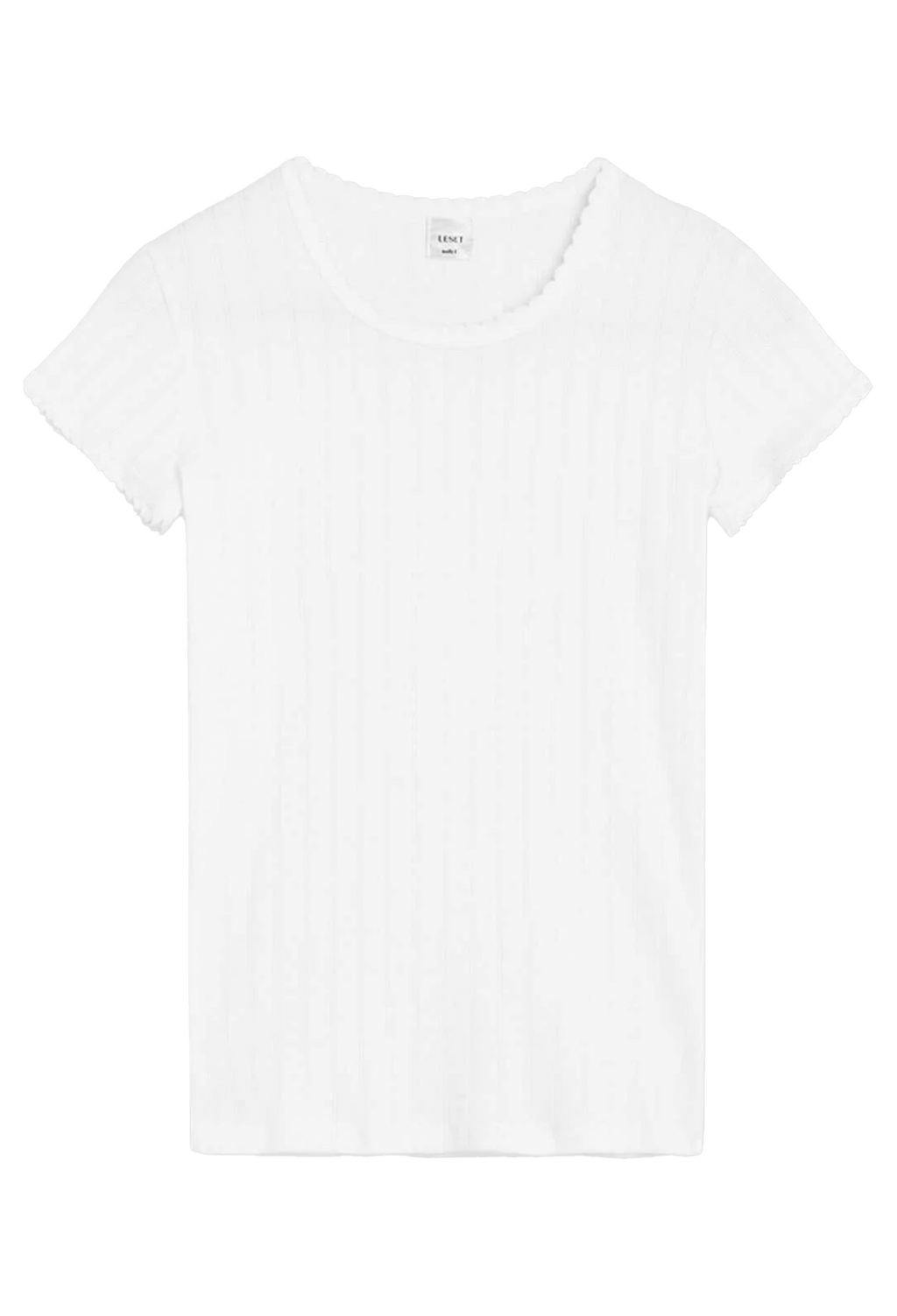 Plain white t-shirt on a white background