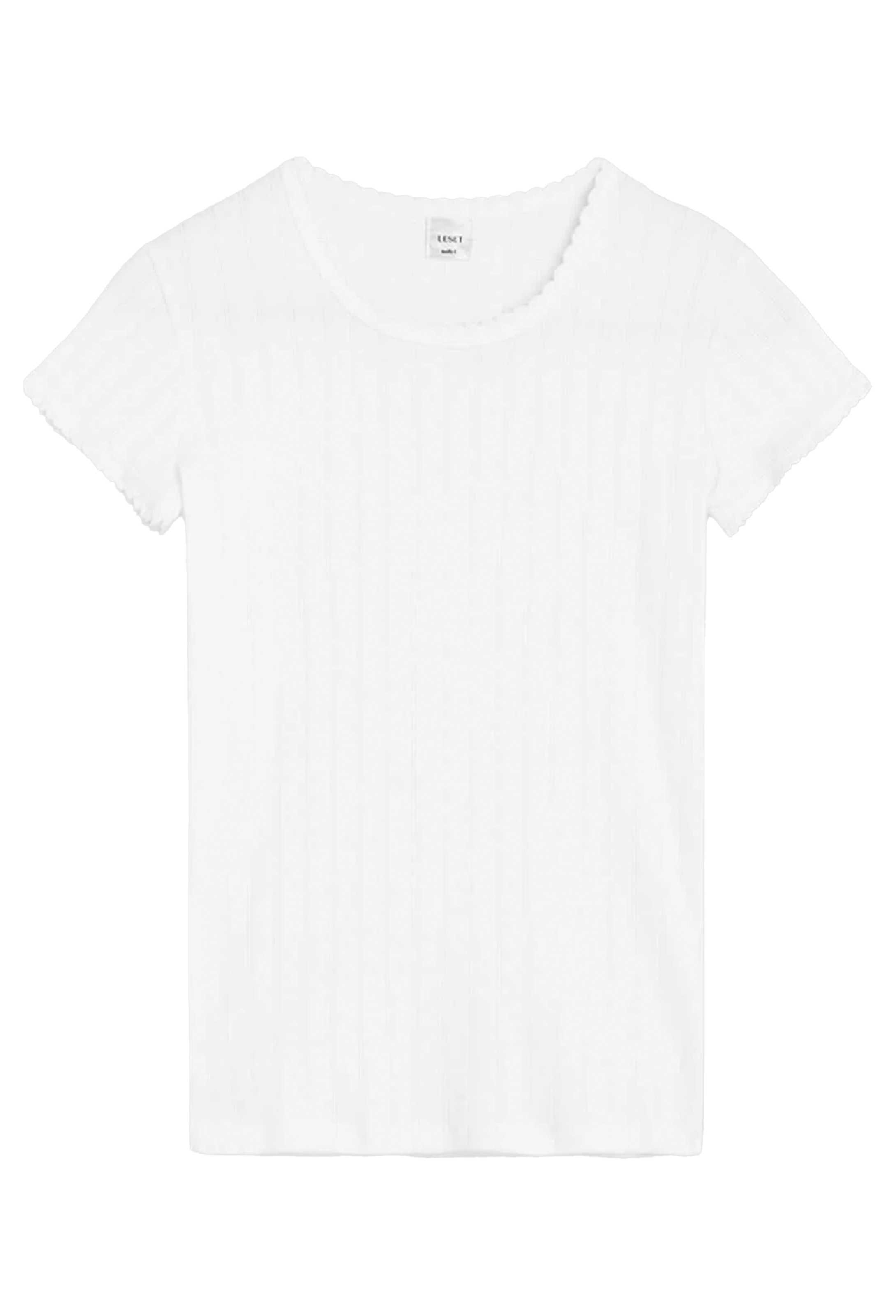 Plain white t-shirt on a white background