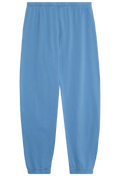 Blue sweatpants on a white background