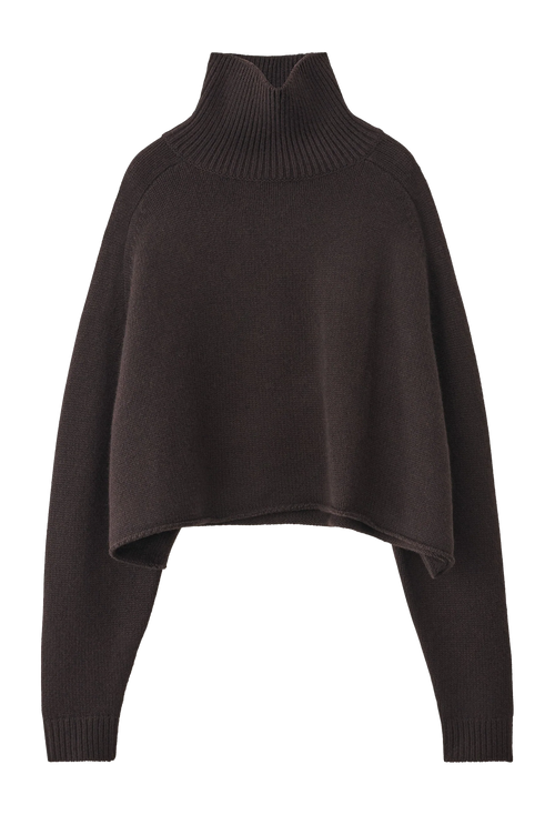 A dark brown cropped turtleneck sweater with long sleeves and a ribbed collar, cuffs, and hem, shown against a plain white background.