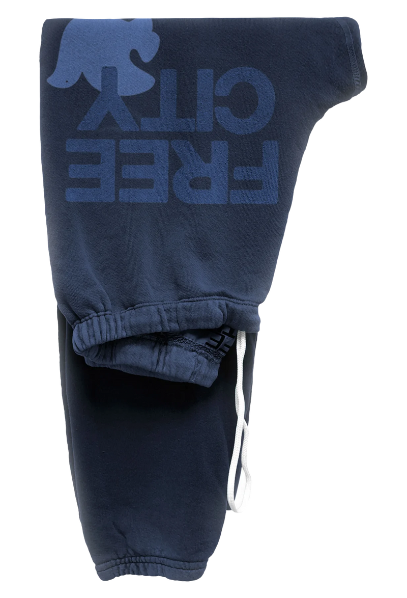 sweatpant in moonshrooms with classic "FREECITY" print in blue and tonal light blue "FREECITYDOVE," covered elastic waist and pull drawcord. transparent background.