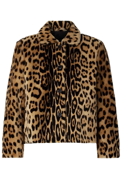 a leopard print collared jacket with black buttons. transparent background.