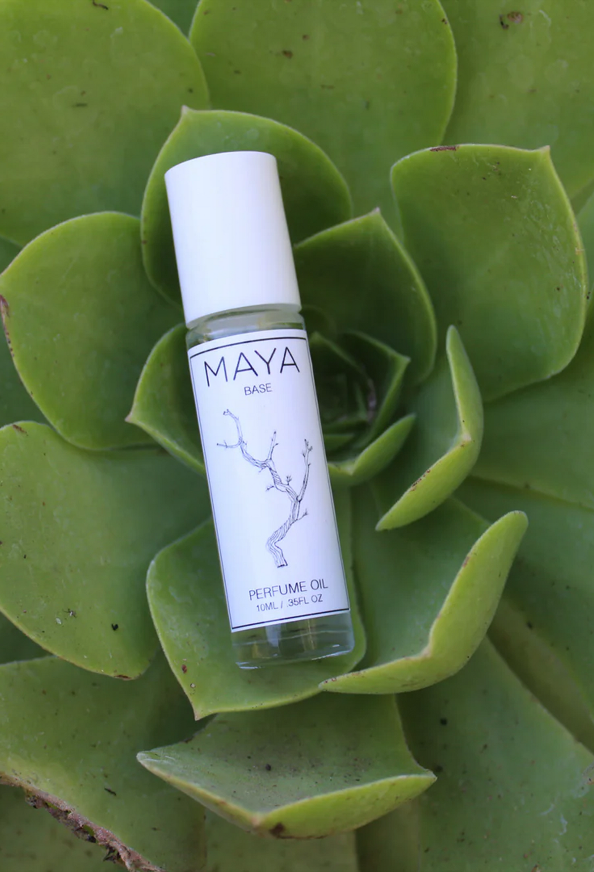 MAYA Base Perfume Oil – JILL ROBERTS